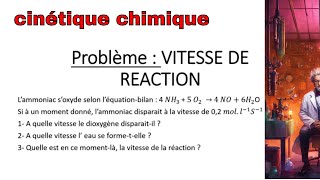 Cinetique Chimique How To Calculate The Speed Of A Reaction La Chim [upl. by Klusek]