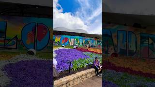 holidays canberra floriade🌷🎡 [upl. by Novyart]