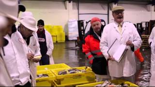 Iceland Responsible Fisheries [upl. by Alley]