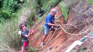 The Vetiver SystemPlanting at Kerikeri Bay of Islands New Zealand [upl. by Sillig219]