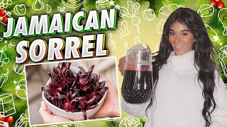 Traditional Jamaican Sorrel Drink  Holiday Recipe [upl. by Stauder]