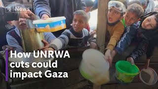 Israel’s evidence of UNRWA Hamas allegations examined [upl. by Anyrak62]