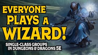 Everyone Plays a Wizard Single Class Groups in DampD 5e [upl. by Otsirave]