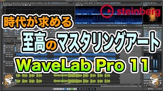 Steinberg WaveLab Pro 11 Review [upl. by Yelnahs]