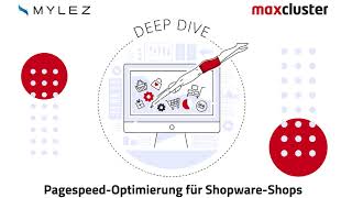 Deep Dive – Pagespeed Optimierung für Shopware Shops [upl. by Grew791]