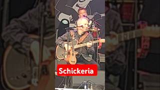 Schickeria  Spider Murphy Gang unplugged shorts musik rocknroll [upl. by Enra751]