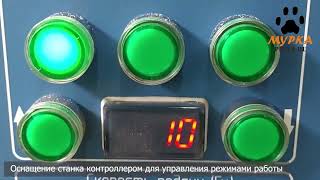 Мурка Кромкообрезной многопильный станок «МКС1000 ЛИНИЯ» Multirip edger MKS1000 LINE pilamru [upl. by Eimorej]