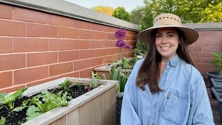 Planting My Back Deck Garden Beds  How I Design My Garden amp Refresh Container Soil [upl. by Nisotawulo]