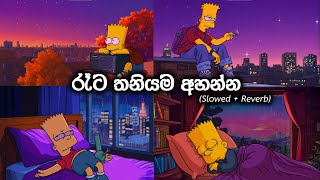 මනෝපාරකට සින්දු slowedreverb  manoparakata sinhala songs [upl. by Anial385]