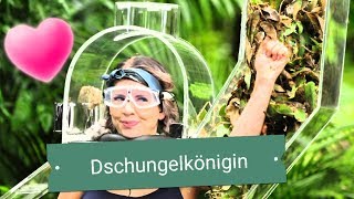 Jenny Frankhauser gewinnt das Dschungelcamp Video [upl. by Serdna719]