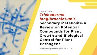 Trichoderma longibrachiatum biopotential compounds for plant health [upl. by Karry186]