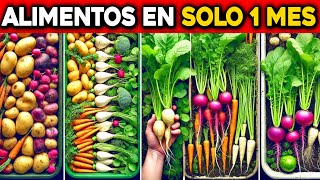 Obtén Alimentos Caseros en 1 Mes con Estos 7 Vegetales de Crecimiento Rápido [upl. by Moia]