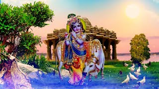 Lord krishna background video effects hd  Lord krishna background video no copyright krishna [upl. by Slyke]