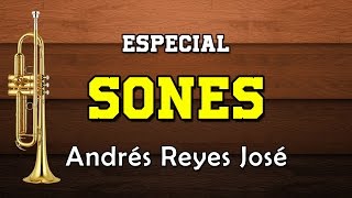 ESPECIAL SONES  Andrés Reyes  Pataditas El Retozón Sombrerito etc [upl. by Tiernan]