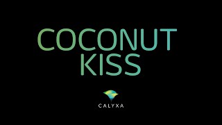 Coconut Kiss  wie die Piña Colada aber ohne Alkohol [upl. by Seema218]