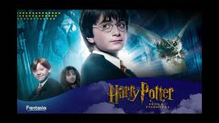 🎧 Harry Potter  A Pedra Filosofal  COMPLETO Áudio Drama © [upl. by Hanaj]