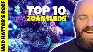 Top 10 Zoanthids for a Reef Tank [upl. by Acinat]