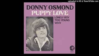 Donny Osmond  Puppy Love 1972 magnums extended mix [upl. by Denman]