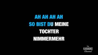 Der Hölle Rache in the Style of quotTraditionalquot karaoke video with lyrics no lead vocal [upl. by Malha]