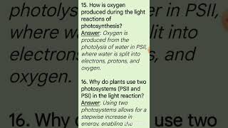 Light reaction in Photosynthesis photosynthesis process botany [upl. by Danby408]