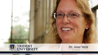 Anne Stein PhD Health Sciences StudentAlum Testimonial [upl. by Wheaton525]