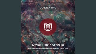 Organismo 46 B Pfirter Remix [upl. by Einnok]