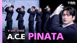 SHOWCASE ACE Intro  Recuerda recuerda  “PINATA” live stage [upl. by Wolliw]