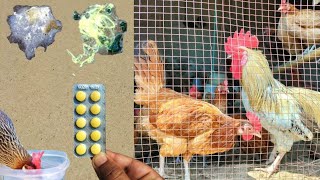 Antidiarrheal for Poultry Birds  Diarrhoea Treatment for Chickens in Winter Season  Dr ARSHAD [upl. by Ikeda237]