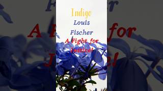 🌿 Indigo in 60 Seconds – Gandhi’s Fight for Justice ✊shorts englishcbse revision [upl. by Nahtan]