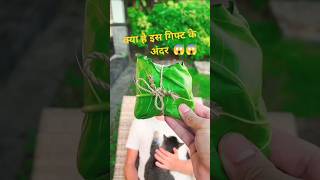 अनोखा गिफ्ट 😱😱 facts factsinhindi smartphone satisfying shorts [upl. by Amlus]