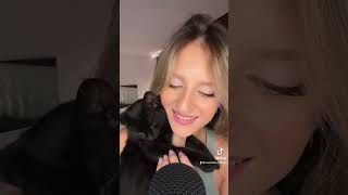 ASMR Cat Purring amp Whispering 🐱 [upl. by Aerdnac901]