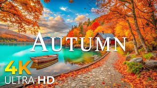 Enchanting Autumn Forests with Beautiful Piano Music🍁4K Autumn Ambience amp Fall Foliage [upl. by Revlys]