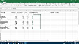 Winst berekenen BEDRAG Excel [upl. by Magee]