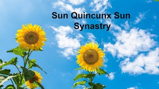 Sun Quincunx Sun Synastry [upl. by Xonnel965]