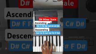 D Minor Scale [upl. by Eilarol]