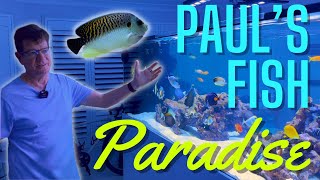 Pauls 4000 Litre Fish Paradise [upl. by Duck43]