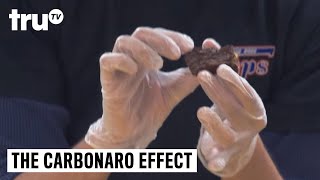 The Carbonaro Effect  Brownie Bit Falls Flat [upl. by Karmen]