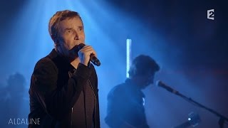 Alcaline le Mag  Julien Clerc  Mon Coeur Hélas en live [upl. by Yblehs]