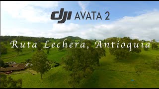 DJI Avata 2 FPV  Ruta Lechera Antioquia [upl. by Lunetta]