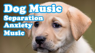 Sleeping Music for Dogs  Relaxing Music to Help Your Dog Sleep Stress Relief Music [upl. by Consuela]