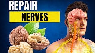 Heal Nerve Damage with These 10 Superfoods [upl. by Philip417]