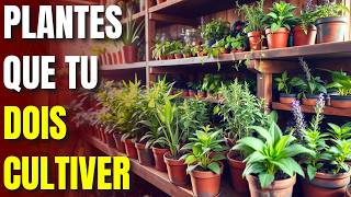 20 Plantes Médicinales Vitales pour Survivre  LOMS Vous Avertit [upl. by Annelak]