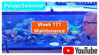 Week 171 Maintenance [upl. by Dougal702]