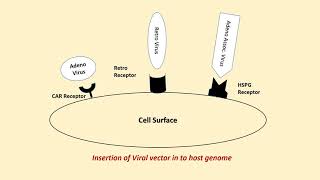 GENE THERAPY Gene Delivery methods [upl. by Schwartz748]