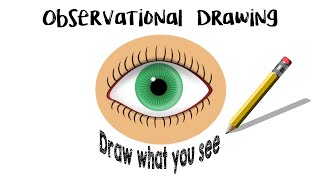 Observational Drawing Draw What You See Week 7 [upl. by Pearle112]