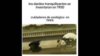 Los dardos tranquizantes animeedit animememe [upl. by Serilda]