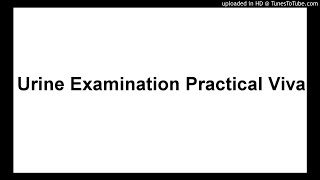 Urine Examination Practical Viva [upl. by Anayaran946]