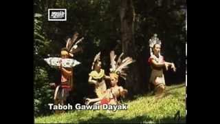 Taboh Gawai Dayak [upl. by Namialus]