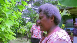 Vanilla Farm in Savusavu mp4 [upl. by Matthus124]