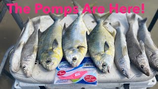 Surf Fishing For Pompano and Whiting using Fishbites EZ Clam and EZ Flea [upl. by Leahcin]